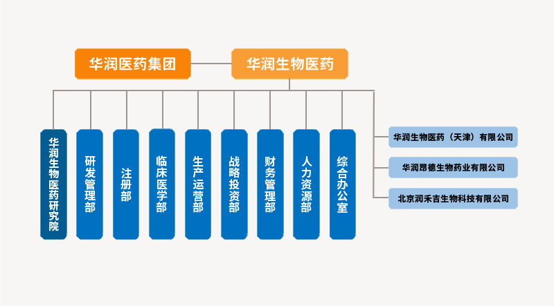 组织架构.jpg